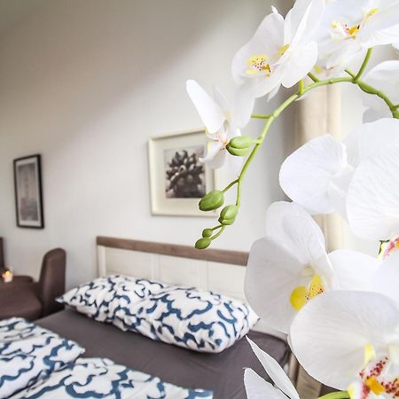 Comfortable Accommodations In The Alterlaa Area Lv6 Відень Екстер'єр фото