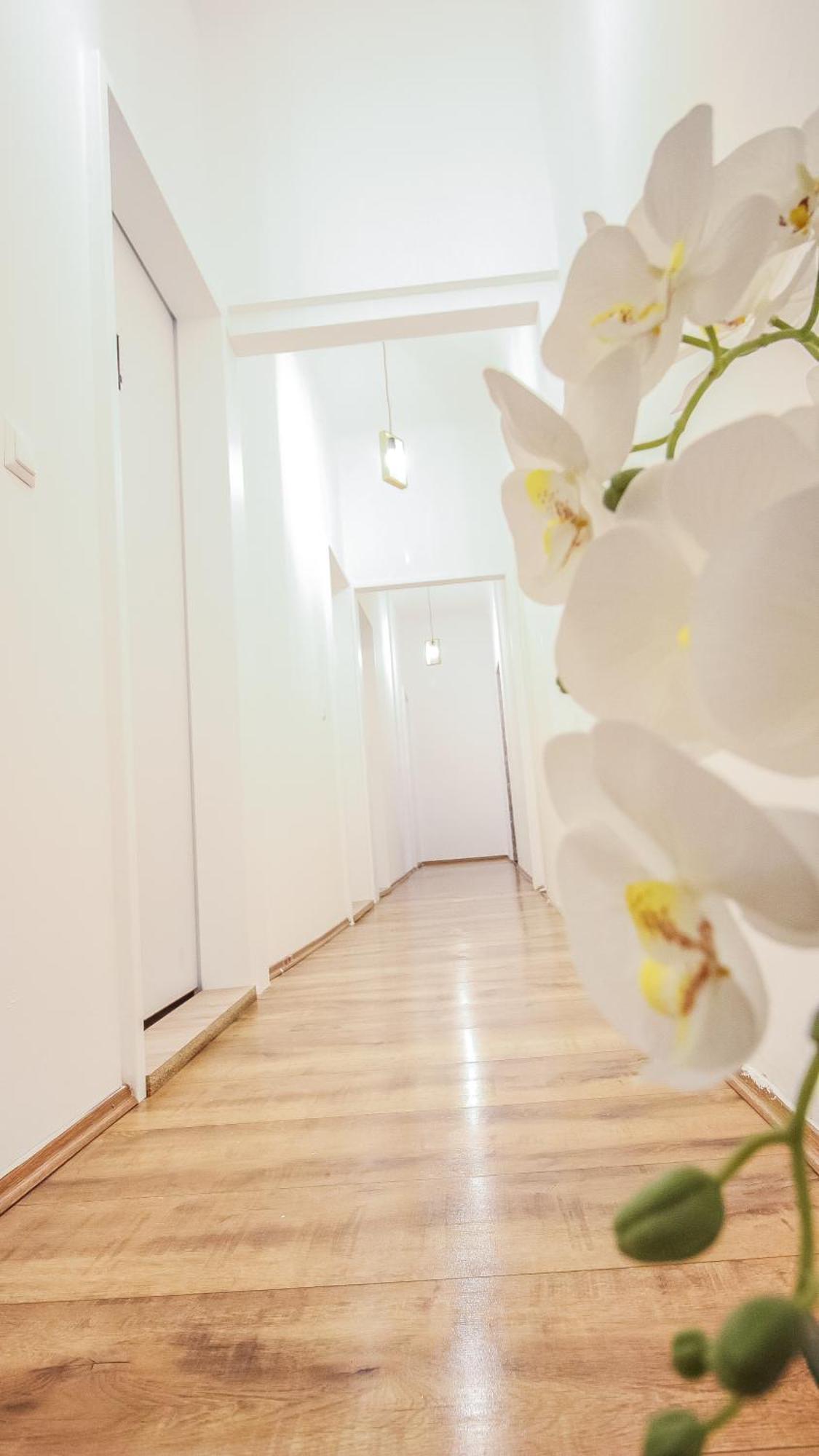 Comfortable Accommodations In The Alterlaa Area Lv6 Відень Екстер'єр фото